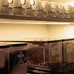 Mercure 4*